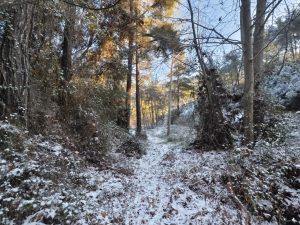 Rifugio retreat troodos
